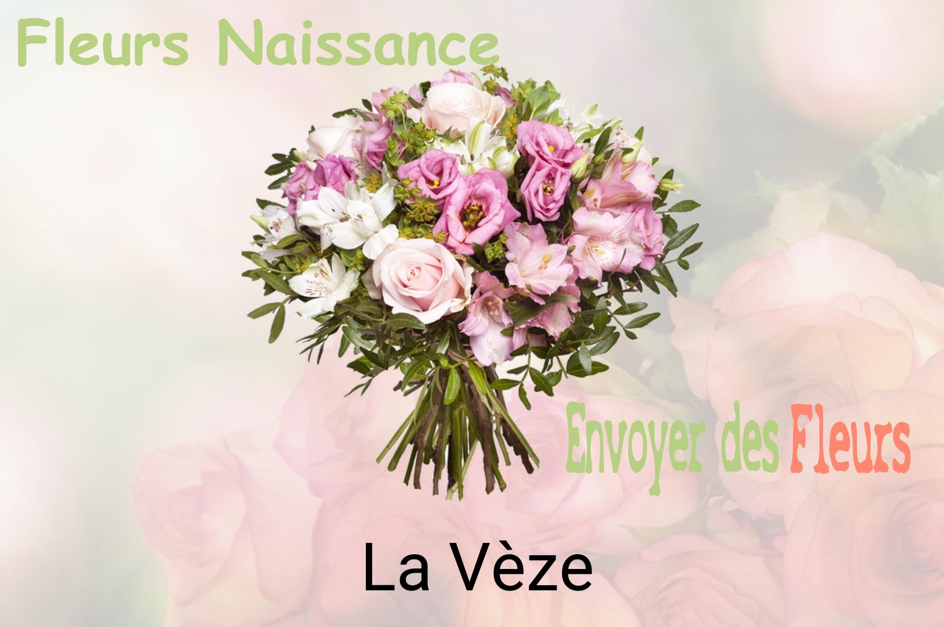 Bouquet de fleurs de naissance livré à La Vèze
